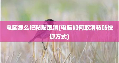 电脑怎么把粘贴取消(电脑如何取消粘贴快捷方式)