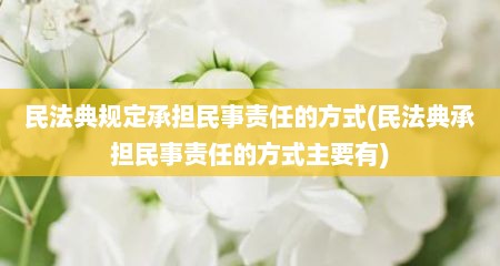 民法典规定承担民事责任的方式(民法典承担民事责任的方式主要有)