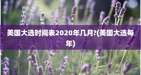 美国大选时间表2020年几月?(美国大选每年)