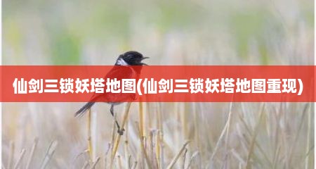 仙剑三锁妖塔地图(仙剑三锁妖塔地图重现)