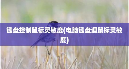 键盘控制鼠标灵敏度(电脑键盘调鼠标灵敏度)