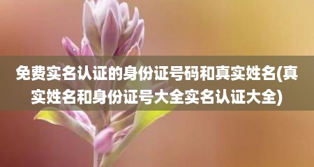 免费实名认证的身份证号码和真实姓名(真实姓名和身份证号大全实名认证大全)