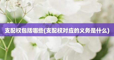 支配权包括哪些(支配权对应的义务是什么)