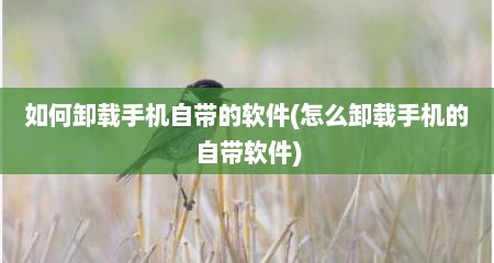 如何卸载手机自带的软件(怎么卸载手机的自带软件)