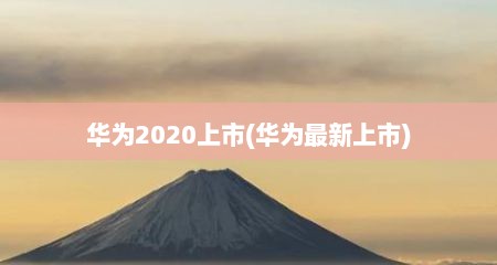 华为2020上市(华为最新上市)