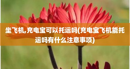 坐飞机,充电宝可以托运吗(充电宝飞机能托运吗有什么注意事项)