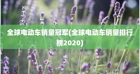 全球电动车销量冠军(全球电动车销量排行榜2020)