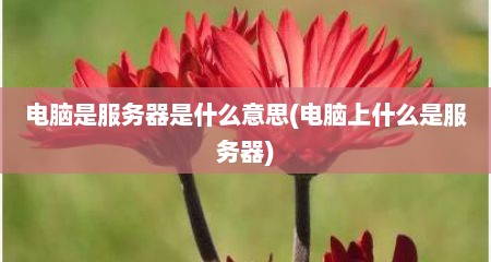 电脑是服务器是什么意思(电脑上什么是服务器)