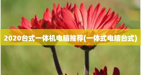 2020台式一体机电脑推荐(一体式电脑台式)