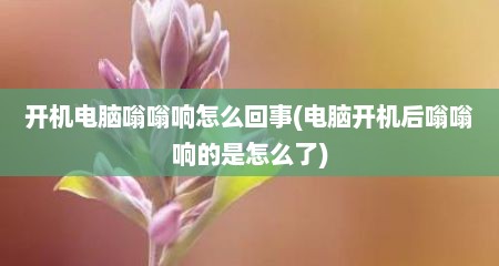 开机电脑嗡嗡响怎么回事(电脑开机后嗡嗡响的是怎么了)