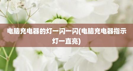 电脑充电器的灯一闪一闪(电脑充电器指示灯一直亮)