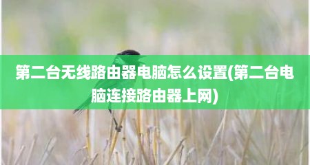 第二台无线路由器电脑怎么设置(第二台电脑连接路由器上网)