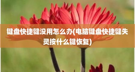 键盘快捷键没用怎么办(电脑键盘快捷键失灵按什么键恢复)