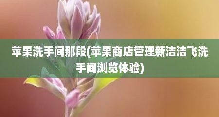 苹果洗手间那段(苹果商店管理新洁洁飞洗手间浏览体验)