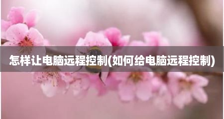 怎样让电脑远程控制(如何给电脑远程控制)