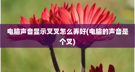 电脑声音显示叉叉怎么弄好(电脑的声音是个叉)