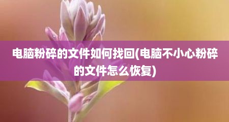 电脑粉碎的文件如何找回(电脑不小心粉碎的文件怎么恢复)