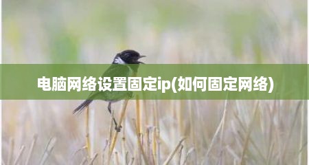 电脑网络设置固定ip(如何固定网络)