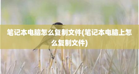 笔记本电脑怎么复制文件(笔记本电脑上怎么复制文件)