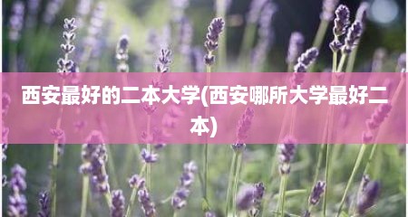 西安最好的二本大学(西安哪所大学最好二本)