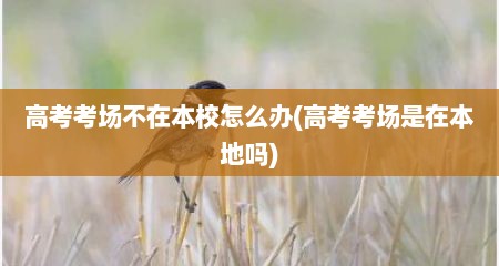 高考考场不在本校怎么办(高考考场是在本地吗)