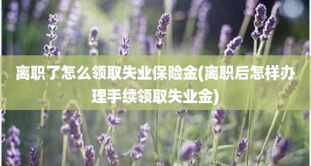 离职了怎么领取失业保险金(离职后怎样办理手续领取失业金)