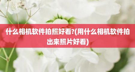 什么相机软件拍照好看?(用什么相机软件拍出来照片好看)