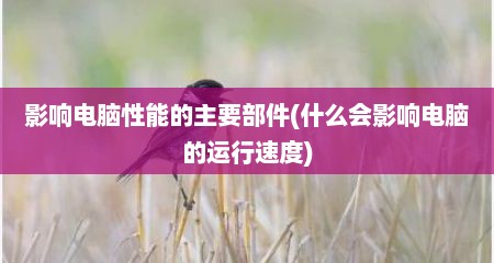 影响电脑性能的主要部件(什么会影响电脑的运行速度)