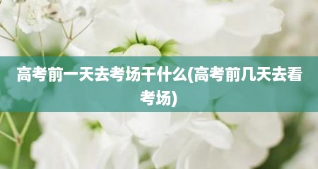 高考前一天去考场干什么(高考前几天去看考场)