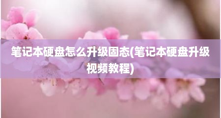 笔记本硬盘怎么升级固态(笔记本硬盘升级视频教程)