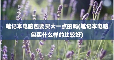 笔记本电脑包要买大一点的吗(笔记本电脑包买什么样的比较好)