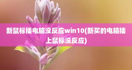 新鼠标插电脑没反应win10(新买的电脑插上鼠标没反应)