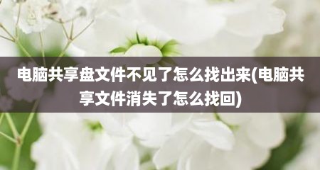 电脑共享盘文件不见了怎么找出来(电脑共享文件消失了怎么找回)