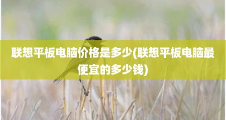 联想平板电脑价格是多少(联想平板电脑最便宜的多少钱)