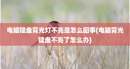 电脑键盘背光灯不亮是怎么回事(电脑背光键盘不亮了怎么办)