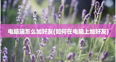 电脑端怎么加好友(如何在电脑上加好友)