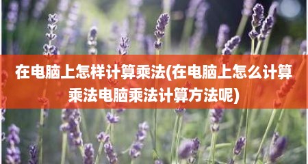 在电脑上怎样计算乘法(在电脑上怎么计算乘法电脑乘法计算方法呢)