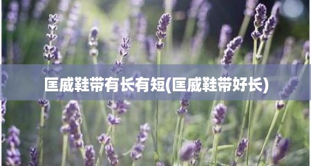 匡威鞋带有长有短(匡威鞋带好长)