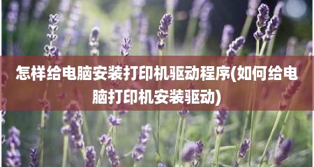 怎样给电脑安装打印机驱动程序(如何给电脑打印机安装驱动)