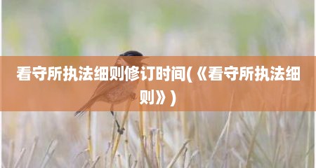 看守所执法细则修订时间(《看守所执法细则》)