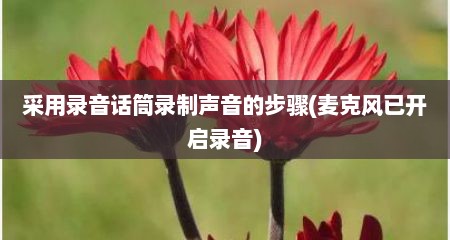 采用录音话筒录制声音的步骤(麦克风已开启录音)