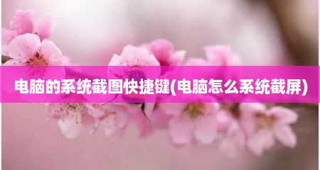 电脑的系统截图快捷键(电脑怎么系统截屏)