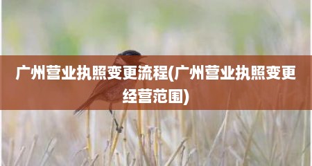 广州营业执照变更流程(广州营业执照变更经营范围)