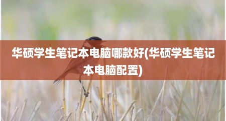 华硕学生笔记本电脑哪款好(华硕学生笔记本电脑配置)