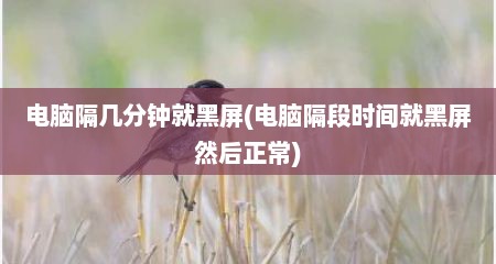 电脑隔几分钟就黑屏(电脑隔段时间就黑屏然后正常)