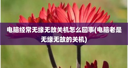 电脑经常无缘无故关机怎么回事(电脑老是无缘无故的关机)