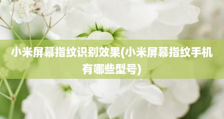 小米屏幕指纹识别效果(小米屏幕指纹手机有哪些型号)