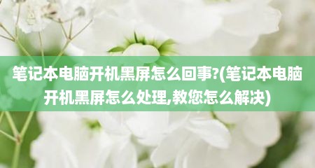 笔记本电脑开机黑屏怎么回事?(笔记本电脑开机黑屏怎么处理,教您怎么解决)