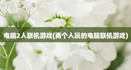 电脑2人联机游戏(两个人玩的电脑联机游戏)