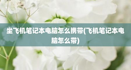 坐飞机笔记本电脑怎么携带(飞机笔记本电脑怎么带)